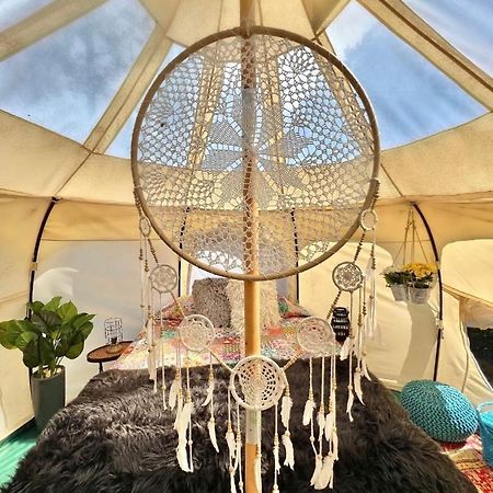 The Aries-A Stargazing, Luxury Glamping Tent Rogersville 外观 照片