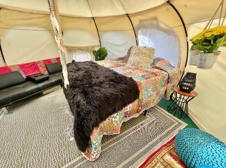 The Aries-A Stargazing, Luxury Glamping Tent Rogersville 外观 照片